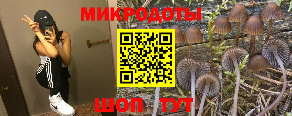 Галлюциногенные грибы MAGIC MUSHROOMS  Галлюциногенные грибы ЛСД  Вход с VPN  Гай 