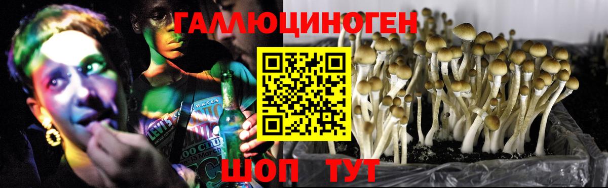 Галлюциногенные грибы GOLDEN TEACHER Гай